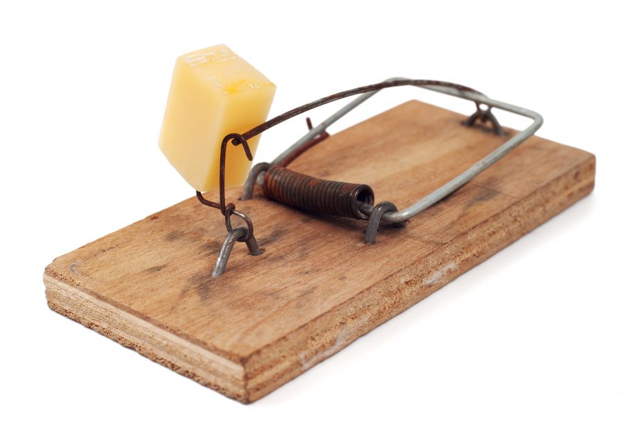 Mouse trap with cheese.