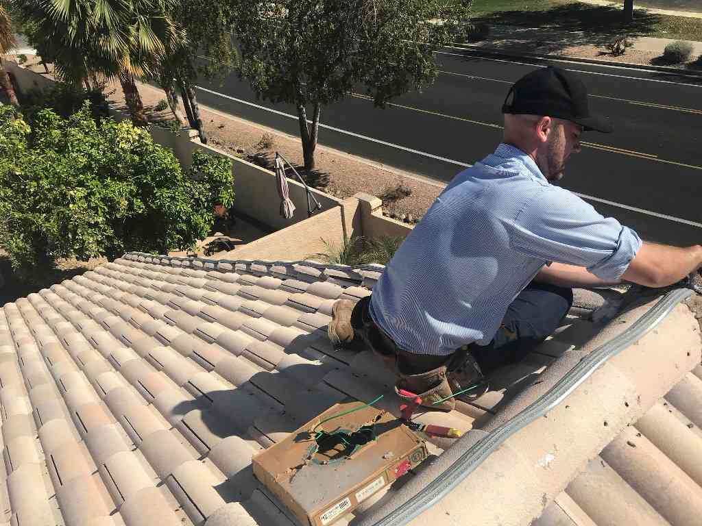 Technician on roof installing bird prevention.
