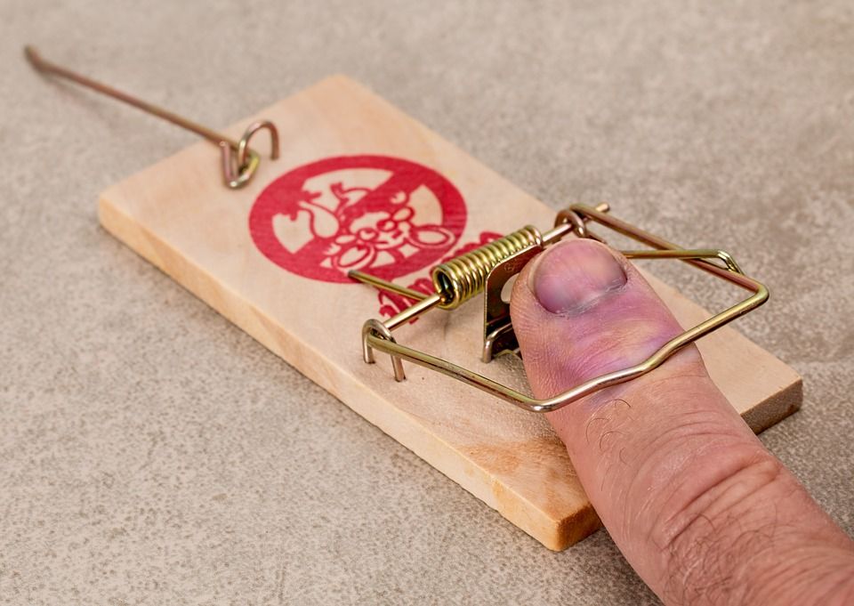 Human finger caught in a mouse trap.