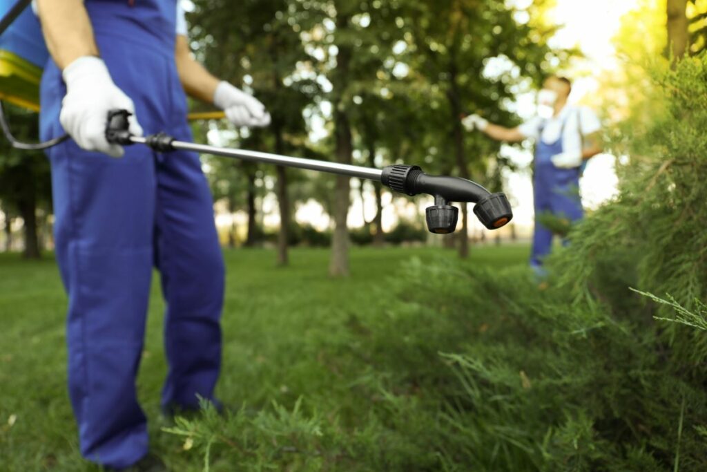 Pest control professional spraying outdoors using eco-friendly products.