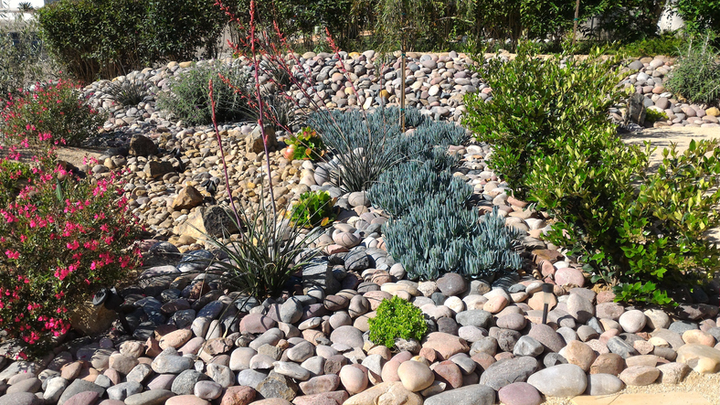 A typical desert home front yard in the western United States.